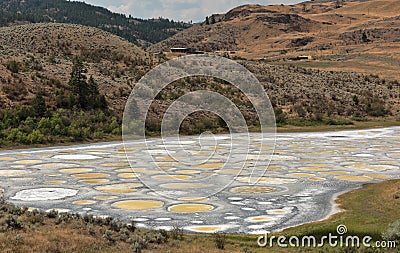 Spotted Lake Stock Photo