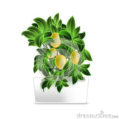 Spotted plant lemon tree in a white pot. Element of home decor. The symbol of growth and ecology. Vector Illustration
