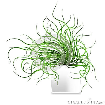 Spotted plant in a white pot. Element of home decor. The symbol of growth and ecology. Vector Illustration