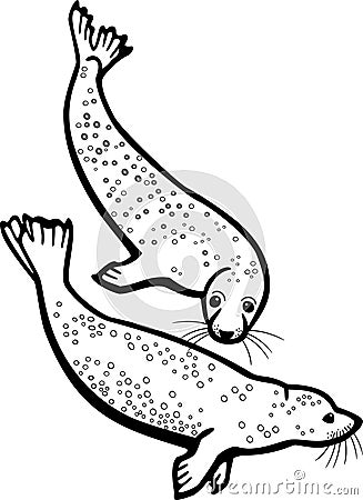 Spotted Seals Vector Illustration