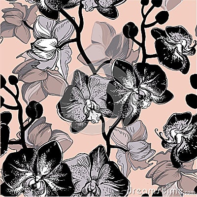 Spotty and exotic black orchid floral garden flower tropical mood. Vector Illustration