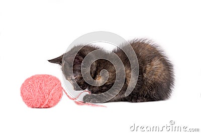 Spotty kitten, ball of yarn Stock Photo