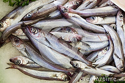 Sprat fishes market Stock Photo