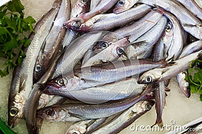 Sprat fishes market Stock Photo