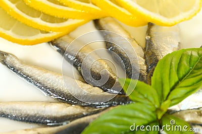 Sprat salad Stock Photo