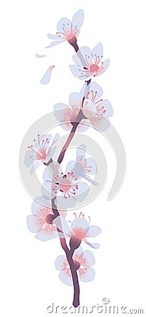 Spray of apricot flowers Vector Illustration