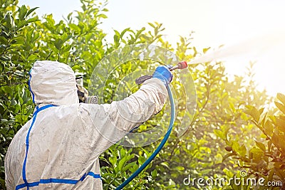 Spray ecological pesticide. Farmer fumigate in protective suit and mask lemon trees. Man spraying toxic pesticides, pesticide, Stock Photo