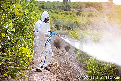 Spray ecological pesticide. Farmer fumigate in protective suit and mask lemon trees. Man spraying toxic pesticides, pesticide, Stock Photo