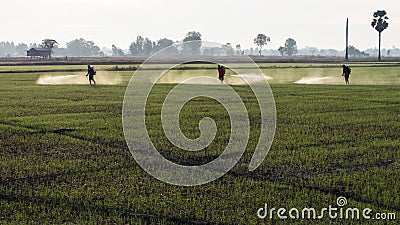 Spraying herbicides in the countryside. Stock Photo