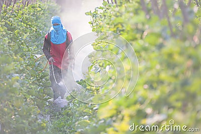 Spraying pesticide Stock Photo