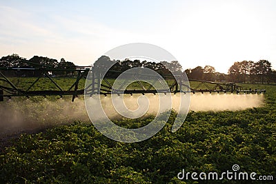 Spraying potatofield Stock Photo