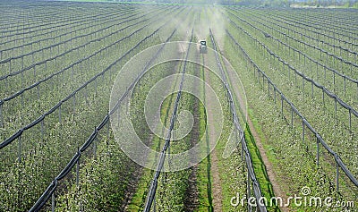 Spraying trees orchard Stock Photo