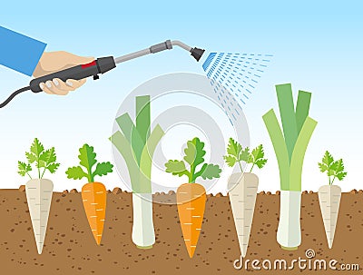 Spraying Vegetables With Dangerous, Chemical Substances Vector Illustration