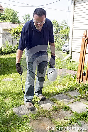Spraying Weed Killer On A Patio Stock Photo