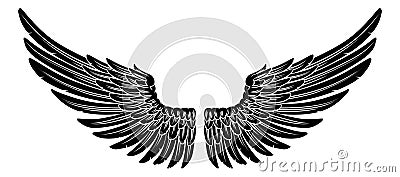 Spread Pair Of Angel Or Eagle Feather Wings Vector Illustration