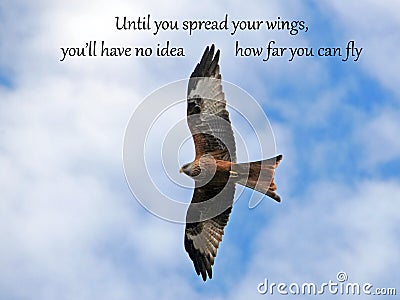 Spread your wings and Fly - Inspirational Quote Napoleon Stock Photo