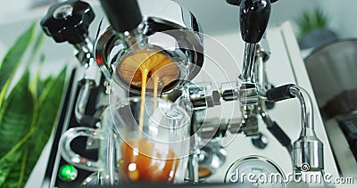 Spressomaskin perfekt extraktion av kaffe som hälls ut från portafilter. professionell utrustning i hemmet eller i cafébutiken stock video Spressomaskin perfekt extraktion av kaffe som hälls ut från portafilter. professionell utrustning i hemmet eller i cafébutiken stock video
