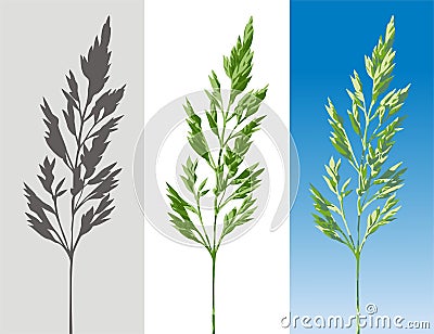 Sprig of herbs Vector Illustration