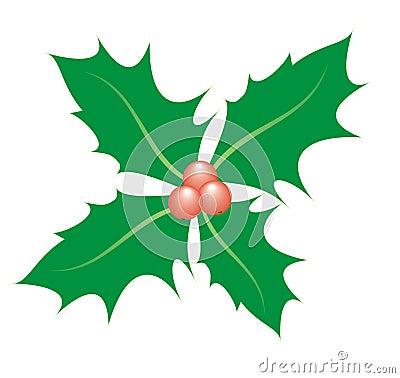 Sprig of holly Vector Illustration