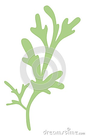 A sprig of Icelandic moss green Vector Illustration