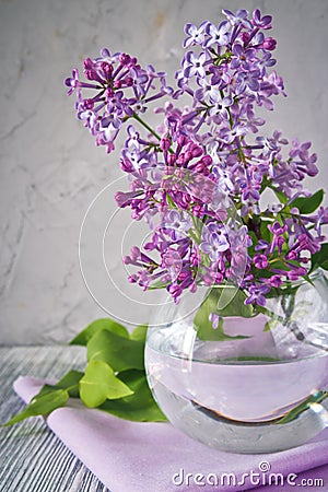 Sprig of lilac still life Stock Photo