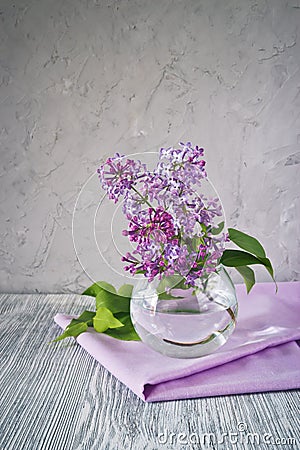 Sprig of lilac still life Stock Photo