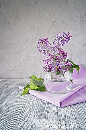 Sprig of lilac still life Stock Photo