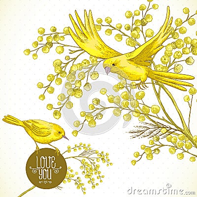 Sprig of Mimosa and Yellow Bird, Spring Background Vector Illustration