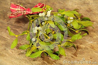 Sprig of mistletoe Stock Photo