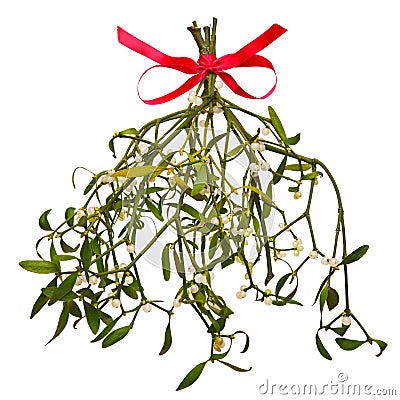 Sprig of Mistletoe isolated Stock Photo