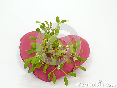 Sprig of mistletoe Stock Photo