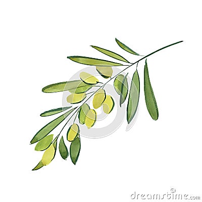 Sprig of olive Stock Photo