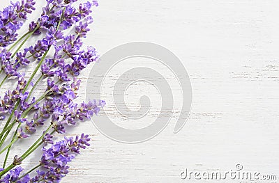 Sprigs of lavender on wooden shabby background Stock Photo