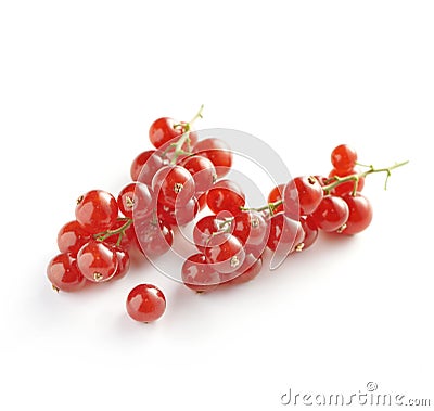 Sprigs of Red Currants on White Background Stock Photo