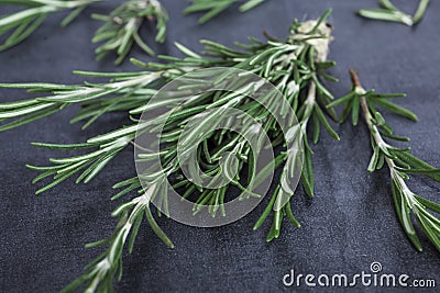 Sprigs of rosemary tied with string on a dark gray background Stock Photo