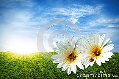 Spring Stock Photo