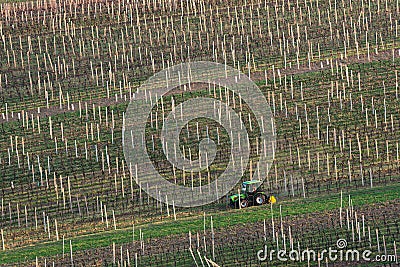 Spring Agricultural Rural Scene With Small Tractor And Rows Of Vineyards. A Green Tractor Cultivates The Vineyard Plantations. Mo Stock Photo