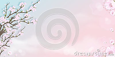Spring apple blossom on blue and pink pastel sky background, Vector illustration Blossoming branches pink sakura flowers on Vector Illustration
