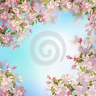 Spring Apple blossom Vector Illustration