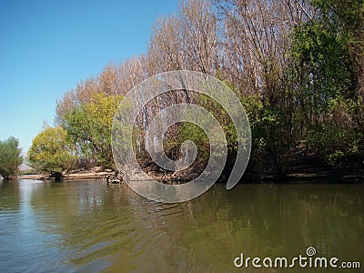 Spring in April on the Danube islands 1 Stock Photo