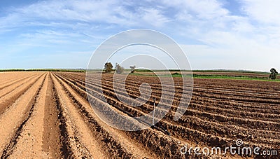 Spring arable land Stock Photo