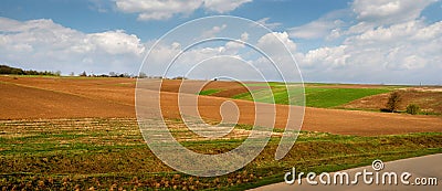 Spring areas of arable fields and winter wheat, lines and hills. Stock Photo