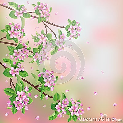 Spring background Vector Illustration