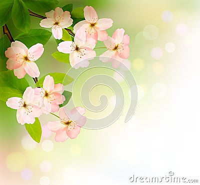 Spring background with blossoming tree brunch Vector Illustration