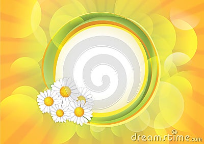 Spring background with Chamomile flowers Stock Photo