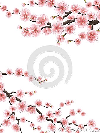 Spring background with cherry blossom. EPS 10 Vector Illustration