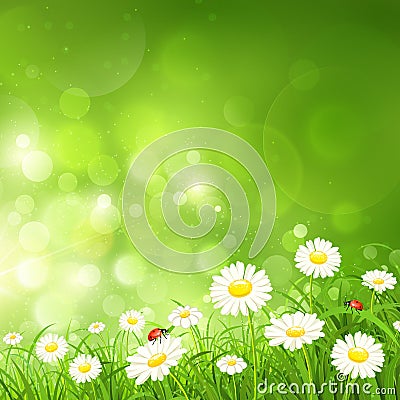 Spring background with flowers Vector Illustration