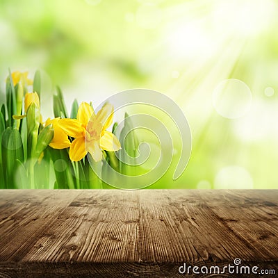 Spring background with flowers and wooden table Stock Photo