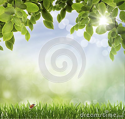 . spring background Stock Photo