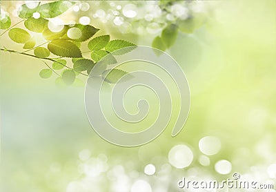 Spring background Stock Photo